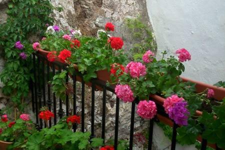 Casa Con Encanto, Escapadas Romanticas Salobreña Kültér fotó